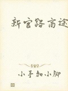 新官路商途