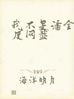 我不是潘金莲百度网盘