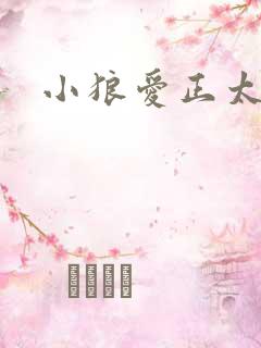 小狼爱正太