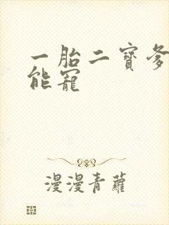 一胎二宝爹地超能宠