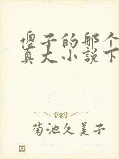 傻子的那个东西真大小说下载