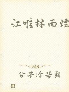 江唯林南烟