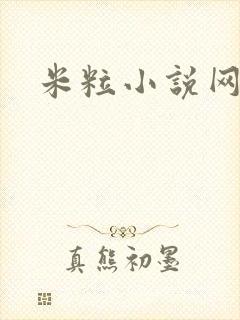 米粒小说网