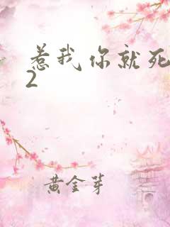 惹我你就死定了2