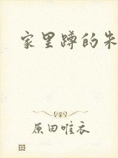 家里蹲的朱教授