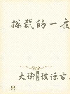 总裁的一夜情人