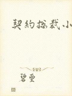 契约总裁小萌宝