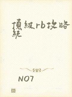 顶级rb攻略系统