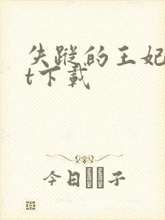 失踪的王妃txt下载