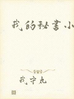 我的秘书小姐