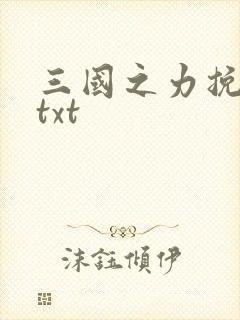 三国之力挽狂澜txt