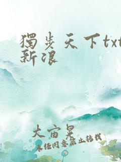 独步天下txt新浪