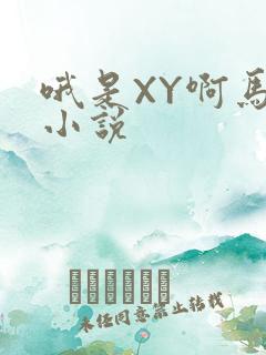 哦是XY啊马仔小说