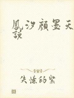 凤汐颜墨天问小说