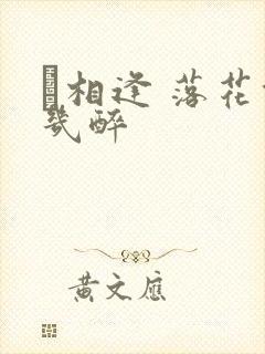 囍相逢 落花能几醉