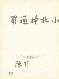 罗通扫北小说