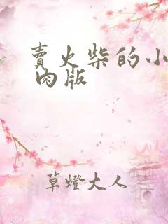 卖火柴的小男孩 肉版