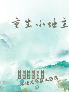 重生小地主u8
