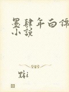 墨肆年白锦瑟 小说