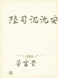 陆司沉沈安