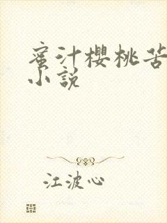 蜜汁樱桃苦咖啡小说