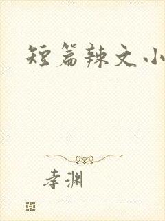 短篇辣文小说