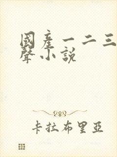 国产一二三区有声小说