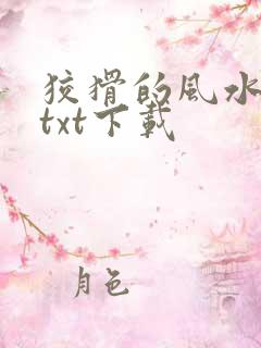 狡猾的风水相师txt下载