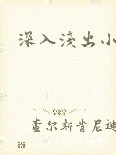 深入浅出小说