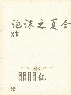 泡沫之夏全集txt