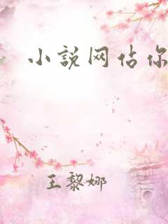 小说网站你懂的