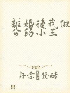 离婚后我做了老公的小三