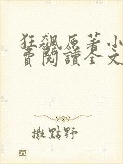 狂飙原著小说免费阅读全文