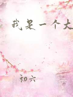 我是一个大盗贼