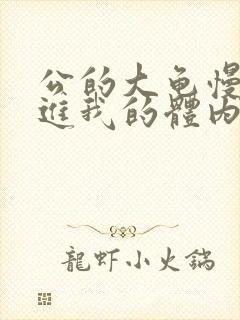 公的大龟慢慢挺进我的体内