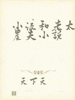 小流和老太69农夫小说