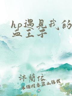 hp遇见我的混血王子