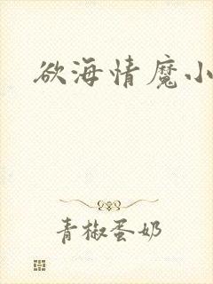 欲海情魔小说