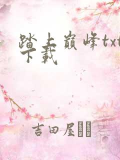 踏上巅峰txt下载