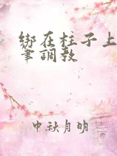 绑在柱子上用毛笔调教