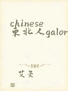 chinese东北人galore