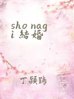 sho nagi 结婚