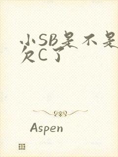 小SB是不是又欠C了