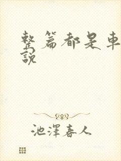 整篇都是车的小说