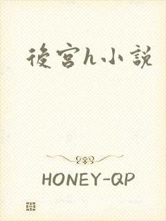 后宫h小说