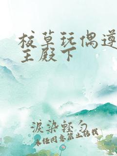 校草玩偶遵命公主殿下