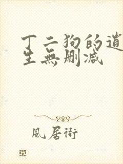 丁二狗的逍遥人生无删减
