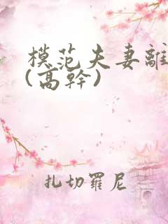 模范夫妻离婚了(高干)