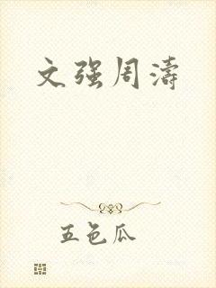 文强周涛