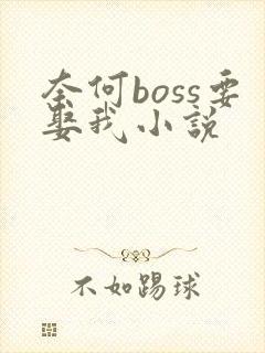 奈何boss要娶我小说